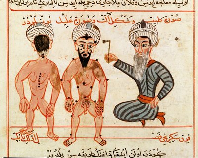 Ms Sup Turc 693 fol.46v كوى آفات الجذام 1466 بواسطة شرف الدين